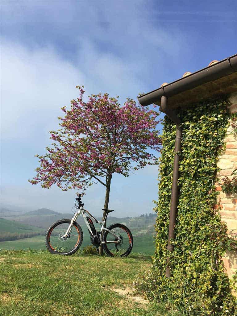Beautiful Tuscan nature - Biking Tuscany Tour