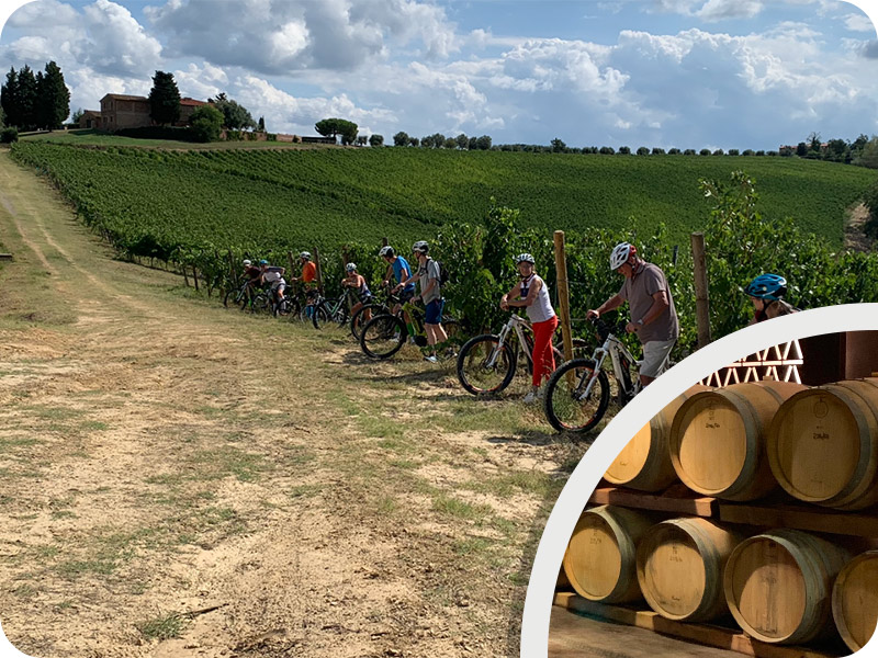 Tuscany bike wine tour “Castelfalfi winery experience”