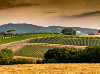 Castelfalfi - Tuscany bike tours - Cycling in tuscany - Florence - Italy