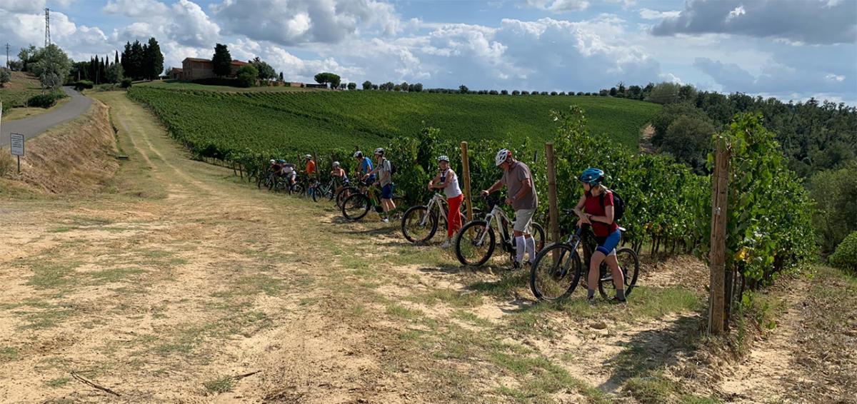 bike wine tour tuscany