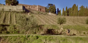 Chianti bike tour - Discover Castello di Brolio and Barone Ricasoli Wine Tour by bike