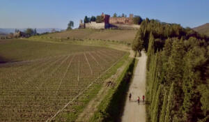 Chianti bike tour - Discover Castello di Brolio and Barone Ricasoli Wine Tour by bike