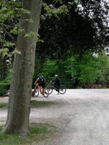 Tuscany bike tours - Florence: Villa Demidoff and its Giant