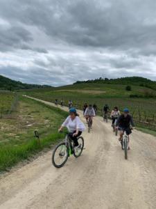 San Gimignano bike tour - Discover the City of Towers