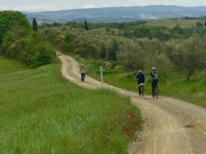 San Gimignano bike tour - Discover the City of Towers