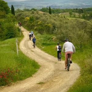 San Gimignano bike tour - Discover the City of Towers