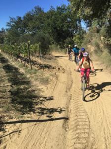 San Gimignano bike tour - Discover the City of Towers