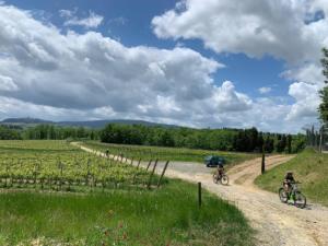 San Gimignano bike tour - Discover the City of Towers