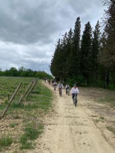 San Gimignano bike tour - Discover the City of Towers