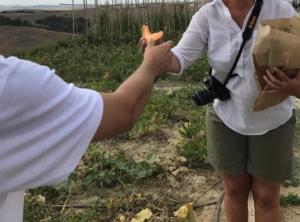 Tuscany bike tour - Cycling and cooking class