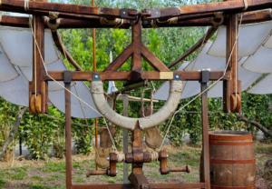 Tuscany bike tour - Discover Leonardo's da Vinci's places