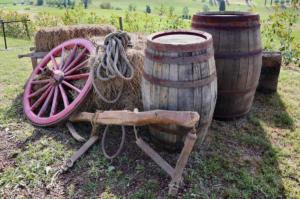 Tuscany bike tour - Discover Leonardo's da Vinci's places