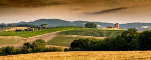 Tuscany bike tour - Volterra wine cellar experience