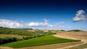 Tuscany bike tour - Volterra wine cellar experience