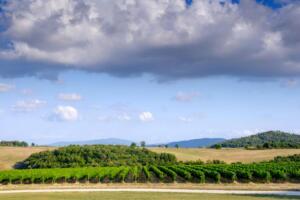 Tuscany bike tour - Volterra wine cellar experience