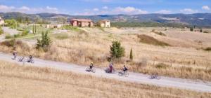 Tuscany bike tours - Castelfalfi (Montaione) Natural Reserve