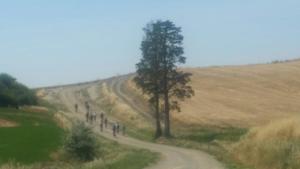 Tuscany bike tours - Castelfalfi (Montaione) Natural Reserve