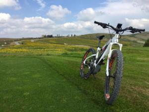 Tuscany bike tours - Castelfalfi (Montaione) Natural Reserve