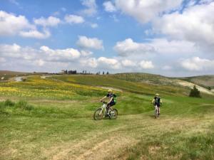 Tuscany bike tours - Castelfalfi (Montaione) Natural Reserve