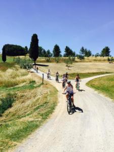 Tuscany bike tours - Castelfalfi (Montaione) Natural Reserve