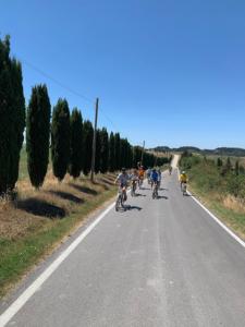 Tuscany cycling tour - Organic farm food and wine experience