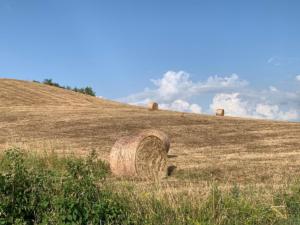 Tuscany cycling tour - Organic farm food and wine experience