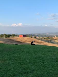 Tuscany cycling tour - Organic farm food and wine experience