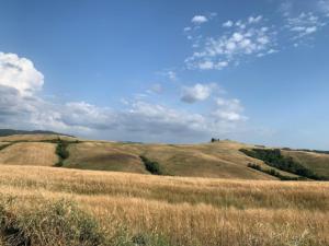 Tuscany cycling tour - Organic farm food and wine experience