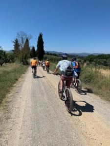 Tuscany cycling tour - Organic farm food and wine experience