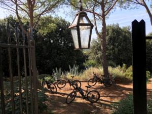 Tuscany bike tours - San Vettore 1075 A.C. Monastery