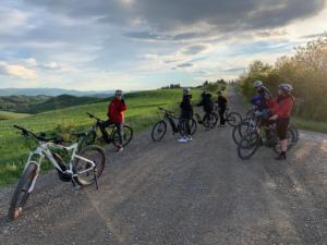 Tuscany bike tours - Truffle day experience