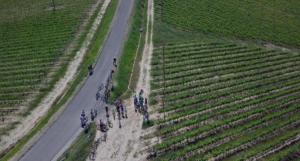 Tuscany bike wine tour - Castelfalfi (Montaione) Winery experience