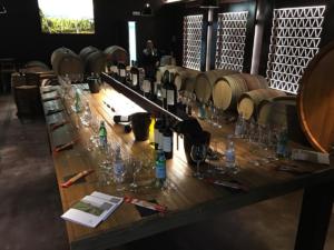 Tuscany bike wine tour - Castelfalfi (Montaione) Winery experience