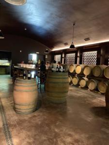 Tuscany bike wine tour - Castelfalfi (Montaione) Winery experience