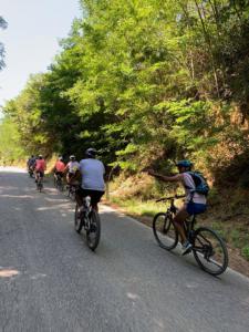 Tuscany bike wine tour - Castelfalfi (Montaione) Winery experience