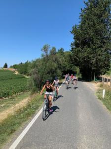 Tuscany bike wine tour - Castelfalfi (Montaione) Winery experience