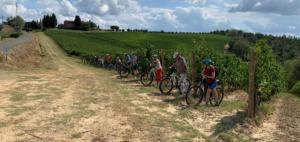 Tuscany bike wine tour - Castelfalfi (Montaione) Winery experience