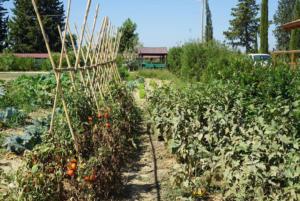 Tuscany bike tour - Cycling and Cooking Pizz-E-bike