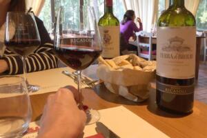 Chianti bike tour - Discover Castello di Brolio and Barone Ricasoli Wine Tour by bike