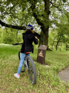 Tuscany bike tours - Florence: Villa Demidoff and its Giant