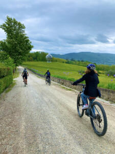 Tuscany bike tours - Florence: Villa Demidoff and its Giant