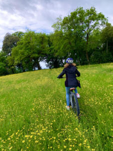 Tuscany bike tours - Florence: Villa Demidoff and its Giant